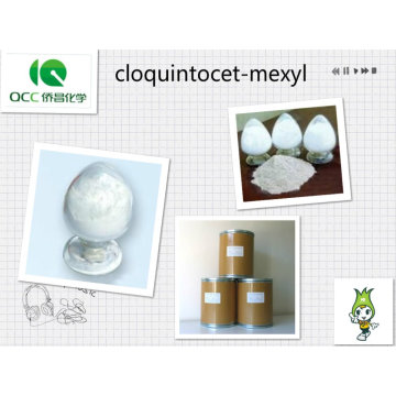 Herbizid-Safener CLOQUINTOCET-MEXYL 97% TC / 95% TC / CAS: 99607-70-2-lq